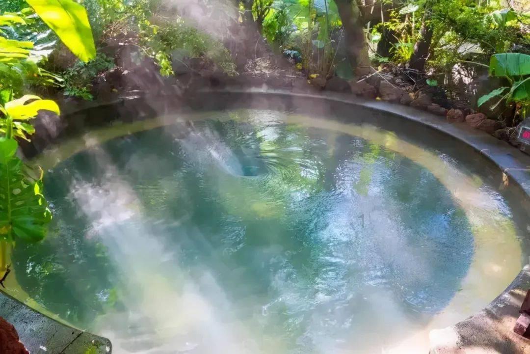 植物大战僵尸16